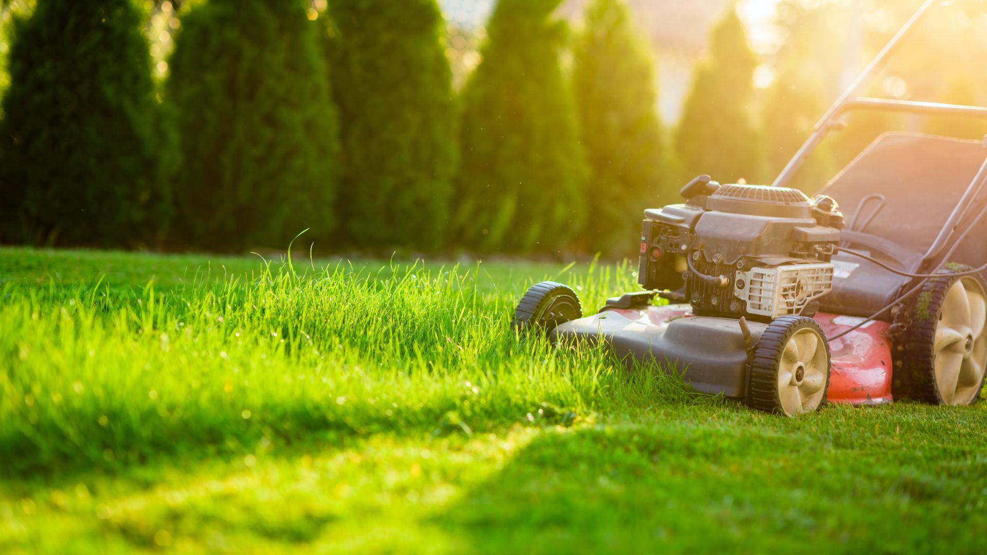 A lawn mower sitting on top of a lush green field