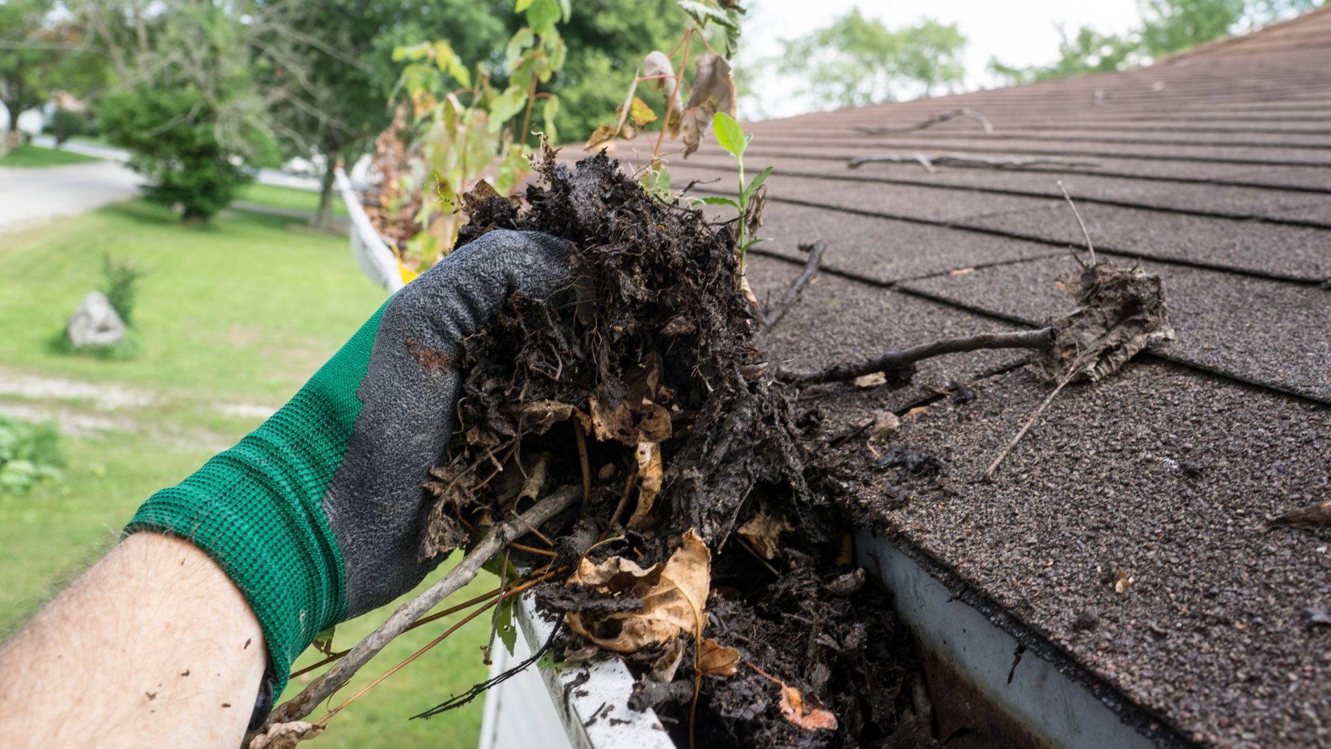 A person wearing gloves and gardening gloves is removing leaves from a gutter